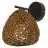Ledvance Decor Veggbelysning Drop Beige | Egnet for 1x E27